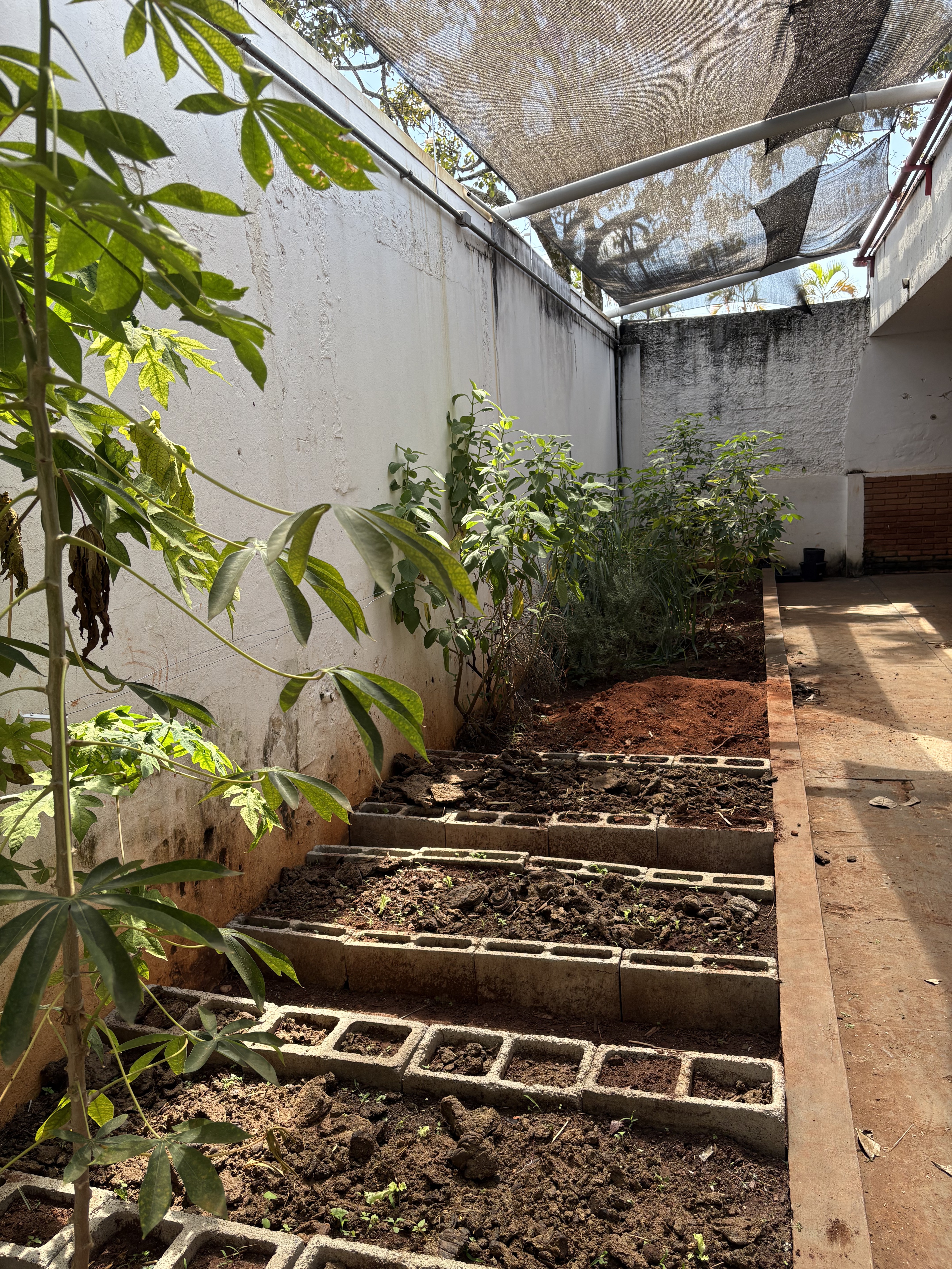 Instalação escolar