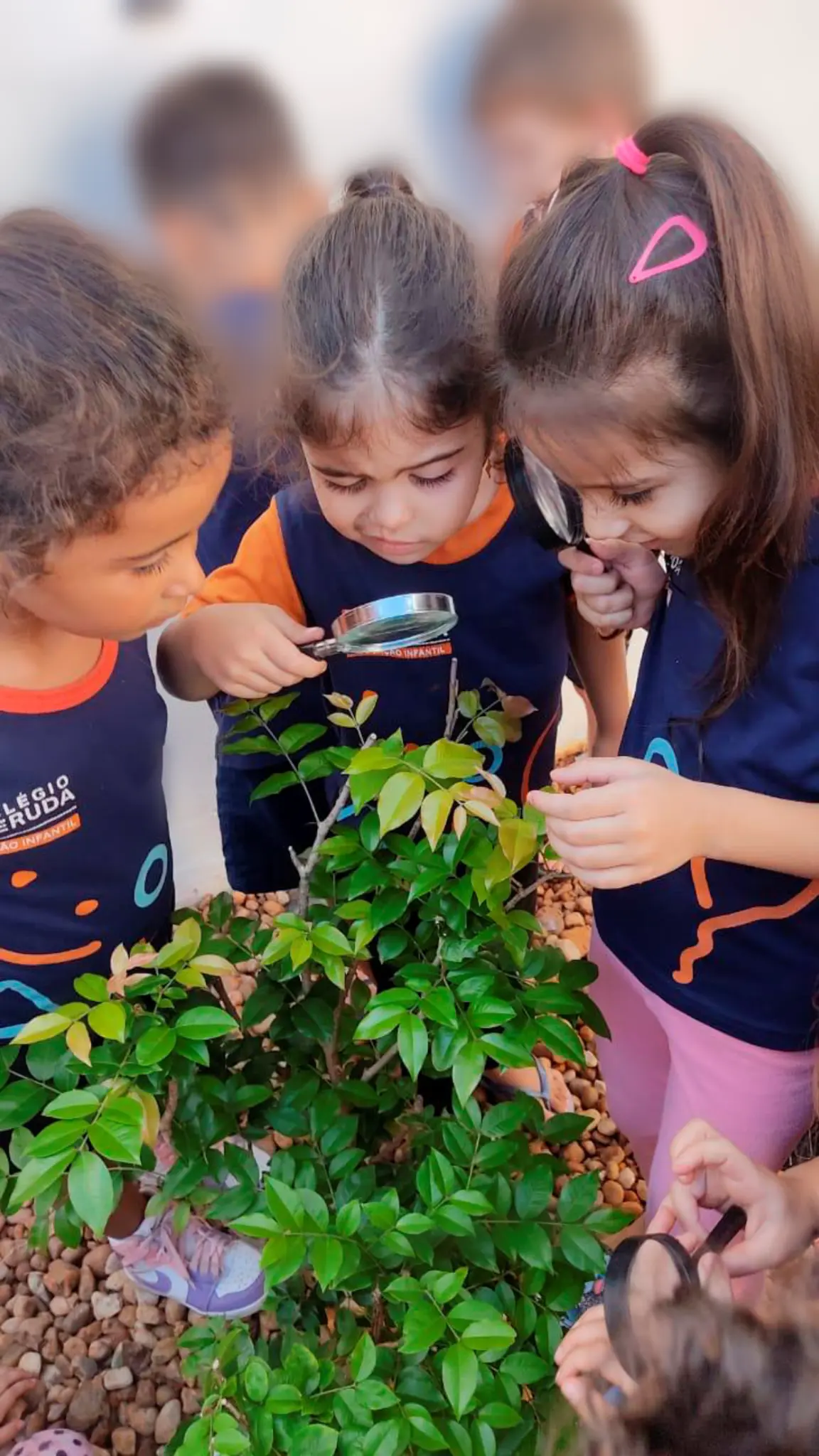 Alunos do Ensino Fundamental